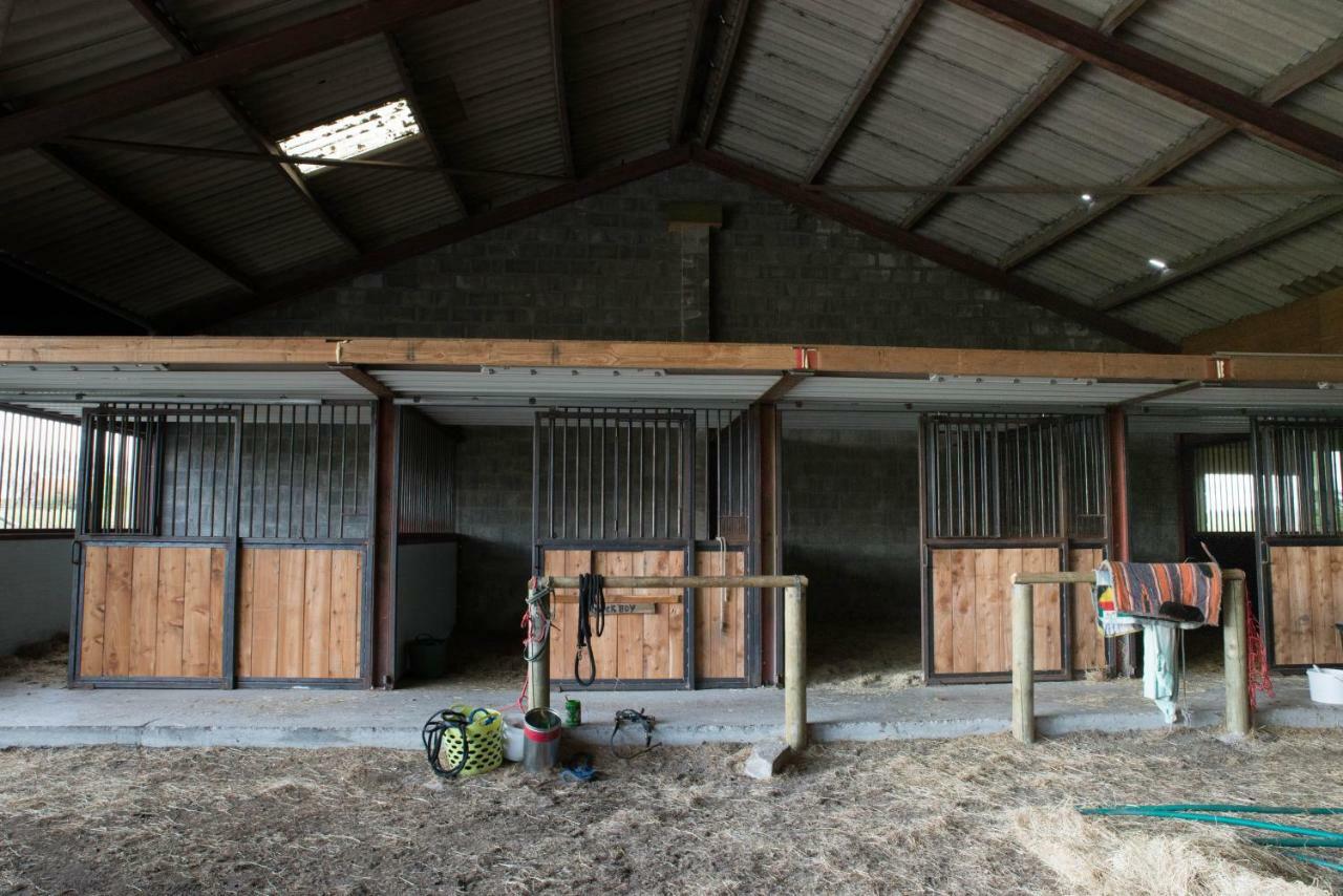 הוילה Boeren Biezen Bed Landelijk מראה חיצוני תמונה