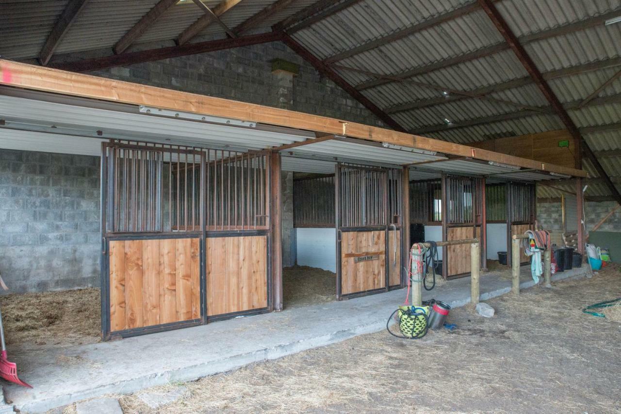 הוילה Boeren Biezen Bed Landelijk מראה חיצוני תמונה