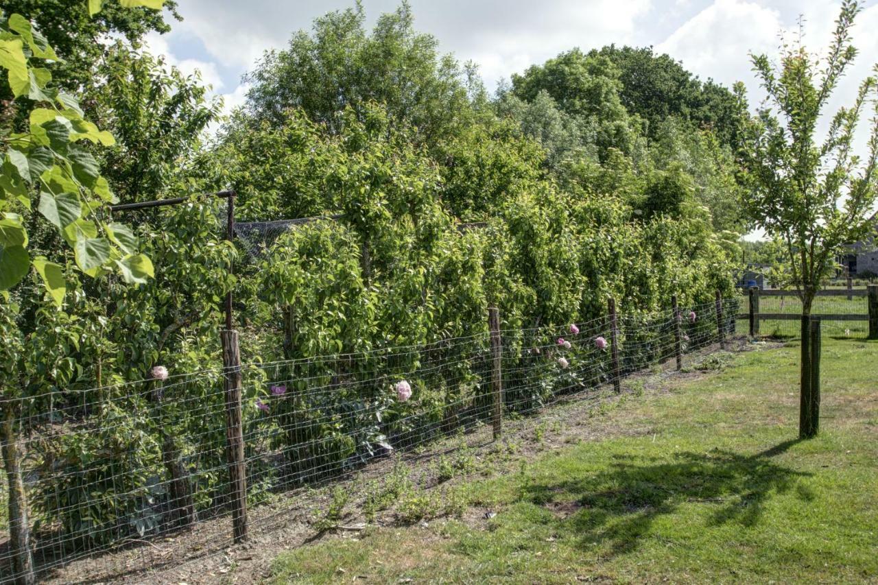 הוילה Boeren Biezen Bed Landelijk מראה חיצוני תמונה